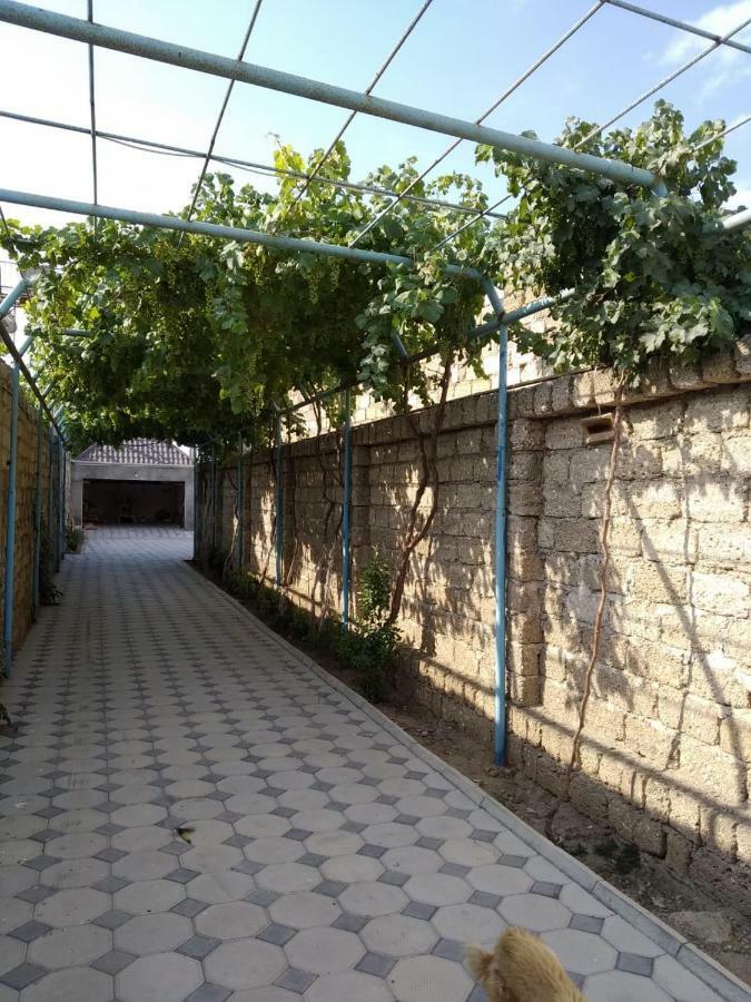 Cozy House In Bina, Bolluq Villa Bakü Dış mekan fotoğraf